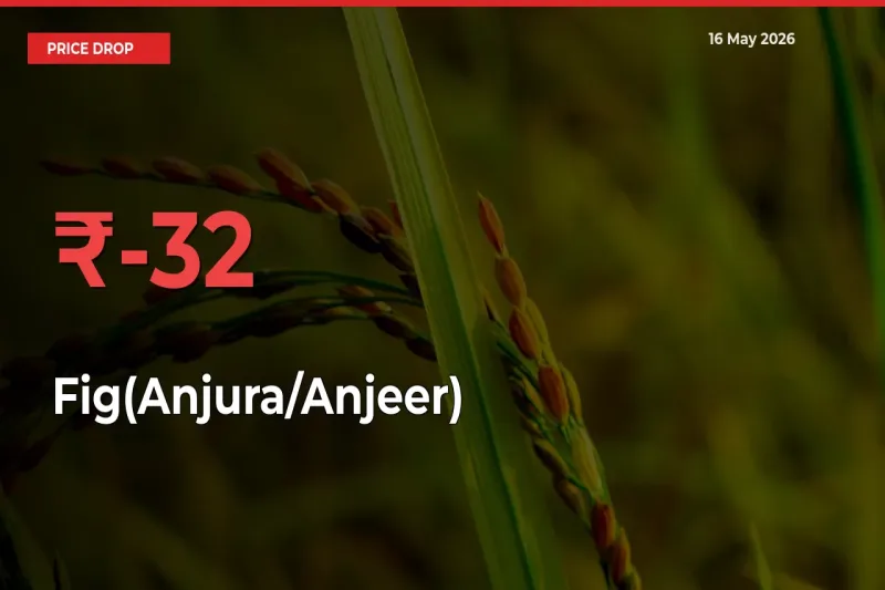 This Mandi Records 31.68% Fall in Fig(Anjura/Anjeer) Prices