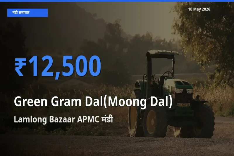 किसानों की पसंद बना Lamlong Bazaar APMC, मूंग दाल के सबसे अच्छे दाम