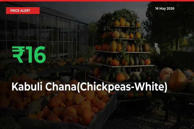Why Kabuli Chana(Chickpeas-White) Prices Rose 15.6% in a Day at Mandis