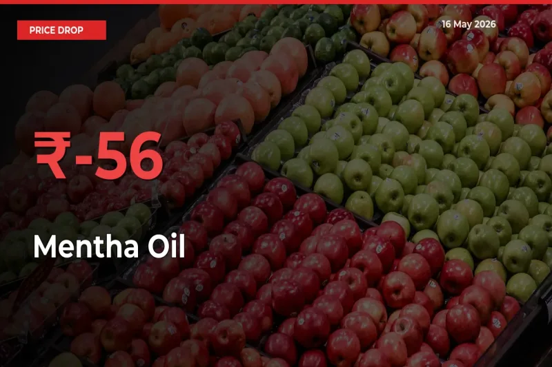 55.53% Drop in Mentha Oil Prices – Mandi Sees Sudden Fall