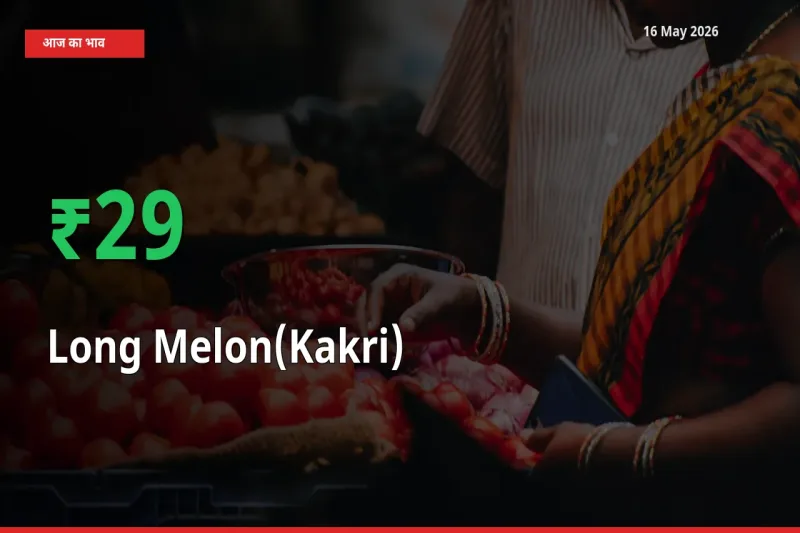 तेज़ तेजी! मंडी में ककड़ी के दाम 28.63% चढ़े