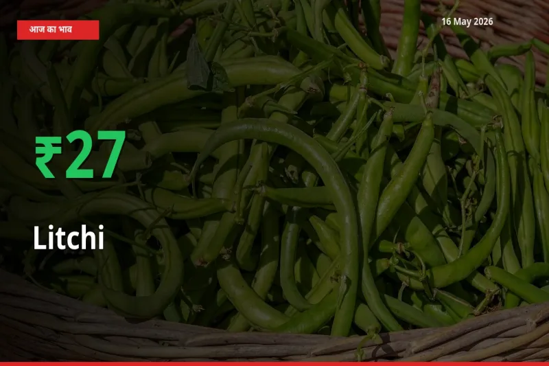 स्थानीय मंडी में लीची के दाम अचानक 26.84% उछले, किसान सतर्क