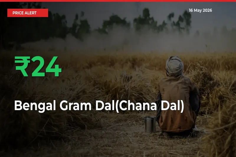 23.82% Spike in Bengal Gram Dal(Chana Dal) Prices – Mandi Sees Sudden Rally