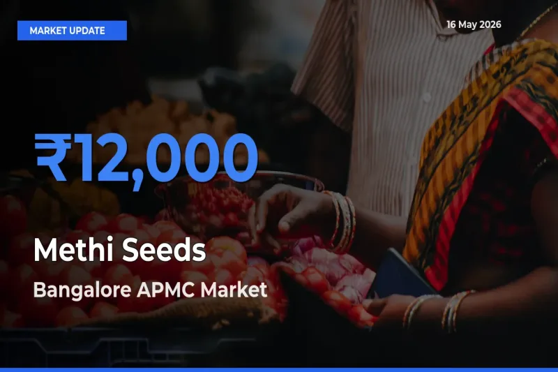 Bangalore APMC Records Highest ₹12,000 Rate for Methi Seeds