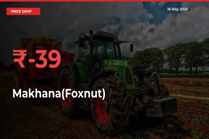 Why Makhana(Foxnut) Prices Fell 39.31% in a Day at Mandis