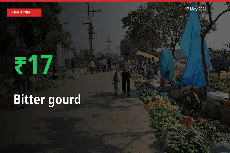स्थानीय मंडी में करेला के दाम अचानक 16.73% उछले, किसान सतर्क