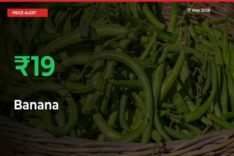 Banana Prices Rise 19.22% in a Day at Major Mandis