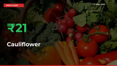 This Mandi Records 20.52% Jump in Cauliflower Prices