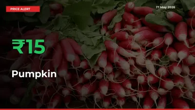 This Mandi Records 15.24% Jump in Pumpkin Prices