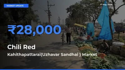 Farmers Prefer Kahithapattarai(Uzhavar Sandhai ) as Chili Red Hits Highest Rate