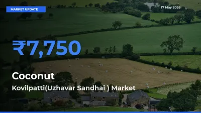 Market Watch: Kovilpatti(Uzhavar Sandhai ) Becomes Top Mandi for Coconut