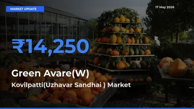 Top Performer! Kovilpatti(Uzhavar Sandhai ) Offers Best Green Avare(W) Price Today