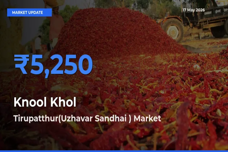 Tirupatthur(Uzhavar Sandhai ) Emerges as Top Mandi for Knool Khol Prices Today