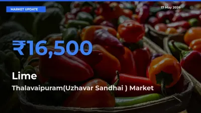 Thalavaipuram(Uzhavar Sandhai ) Records Highest ₹16,500 Rate for Lime