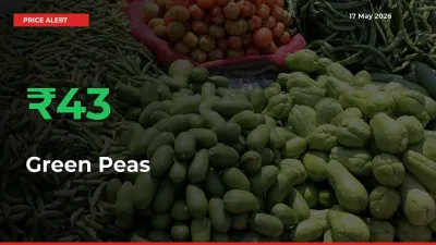 42.78% Spike in Green Peas Prices – Mandi Sees Sudden Rally