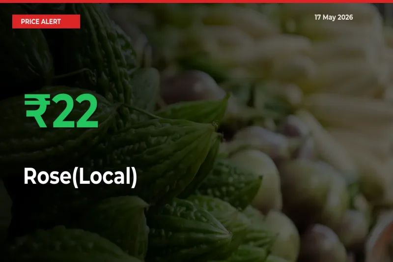 Rose(Local) Rises 22.01% at Mandis