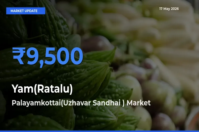 Palayamkottai(Uzhavar Sandhai ) Tops Yam(Ratalu) Rates – May 17 Market Update