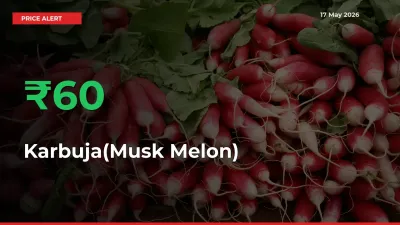 This Mandi Records 59.68% Jump in Karbuja(Musk Melon) Prices