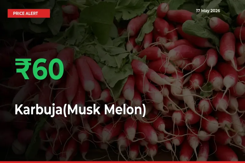 This Mandi Records 59.68% Jump in Karbuja(Musk Melon) Prices