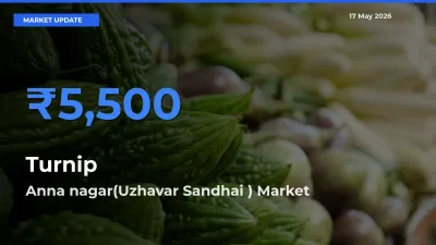 Anna nagar(Uzhavar Sandhai ) Leads as Top Mandi for Turnip Prices
