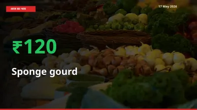 तेज़ तेजी! मंडी में तोरई (नेनुआ) के दाम 120.3% चढ़े