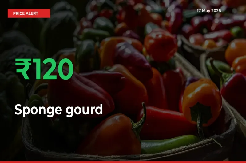 120.3% Spike in Sponge gourd Prices – Mandi Sees Sudden Rally