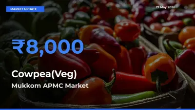 Cowpea(Veg) Mandi Rate Today: Mukkom APMC Tops the List