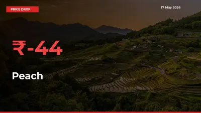 Sudden Shock! Peach Drops 43.97% in 24 Hours at Top Mandis