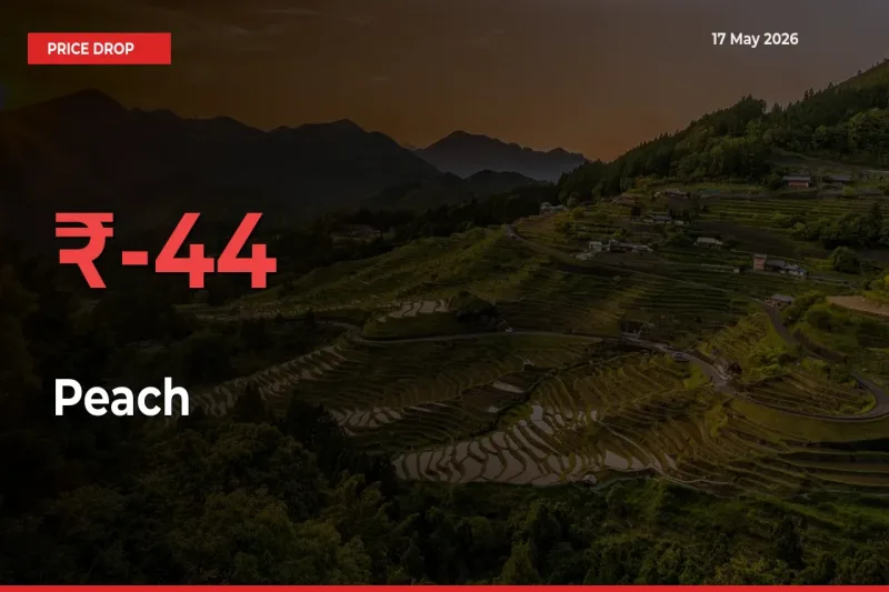 Sudden Shock! Peach Drops 43.97% in 24 Hours at Top Mandis