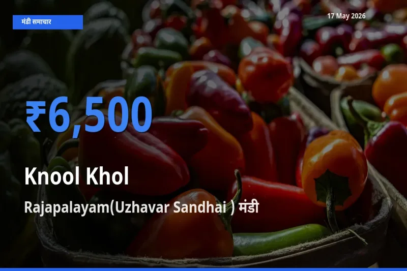 किसानों की पसंद बना Rajapalayam(Uzhavar Sandhai ), गांठगोभी के सबसे अच्छे दाम