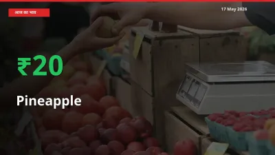 अनानास के दाम प्रमुख मंडी में 20.43% बढ़े, 24 घंटे में बड़ा बदलाव