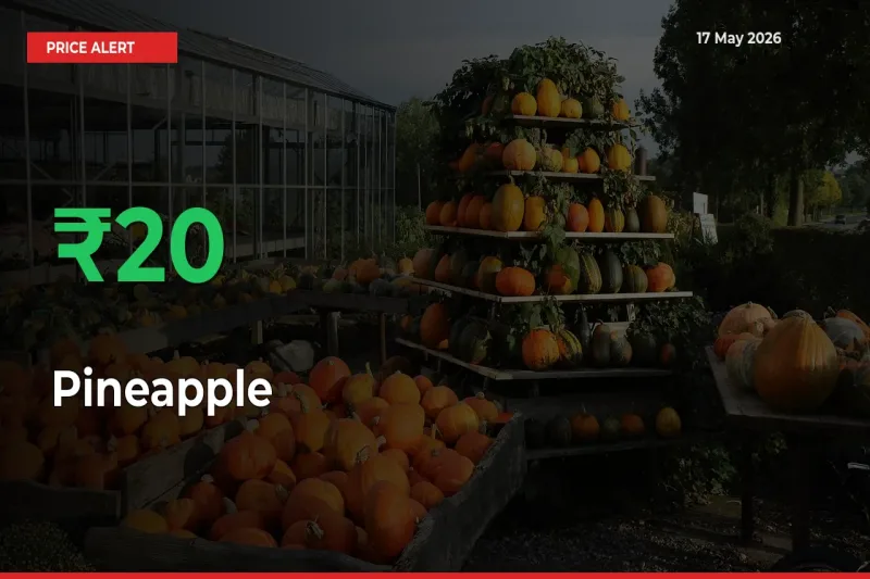 Pineapple Prices Rise 20.43% in a Day at Major Mandis