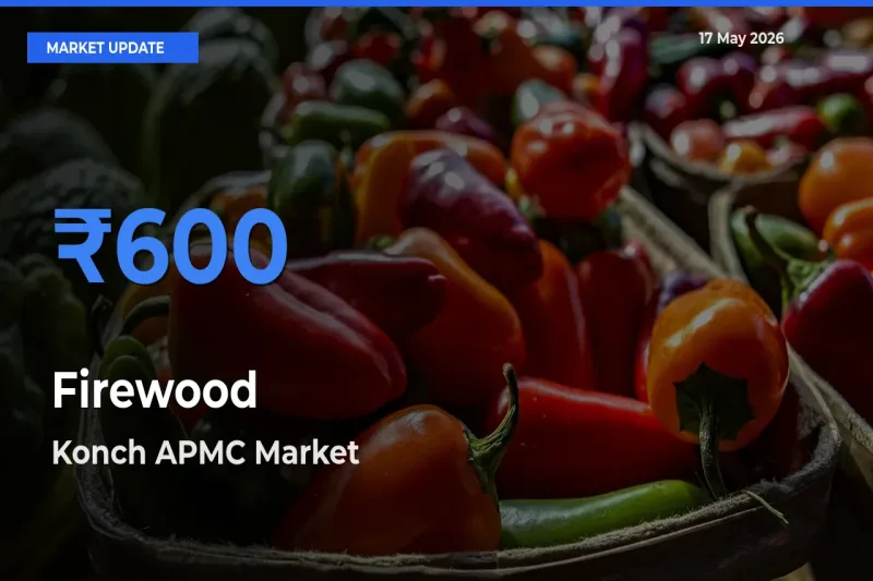Konch APMC Tops Firewood Mandi Rates Today