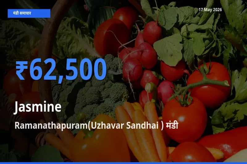 Ramanathapuram(Uzhavar Sandhai ) में चमेली का आज सबसे ऊँचा भाव