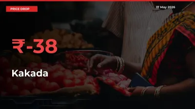 38.08% Drop in Kakada Prices – Mandi Sees Sudden Fall