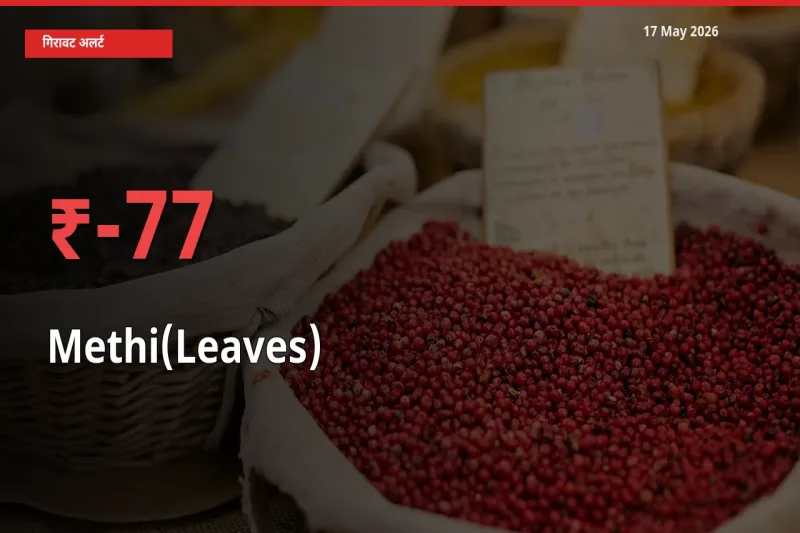 17 May अपडेट: हरी मेथी के दाम मंडी में 77.1% गिरे