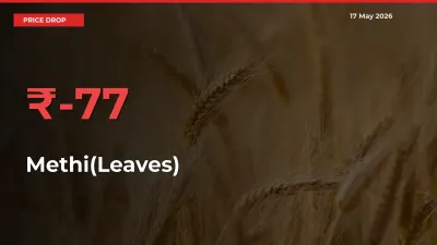 Sharp Fall! Methi(Leaves) Prices Plunge 77.1% in a Day at Key Mandis