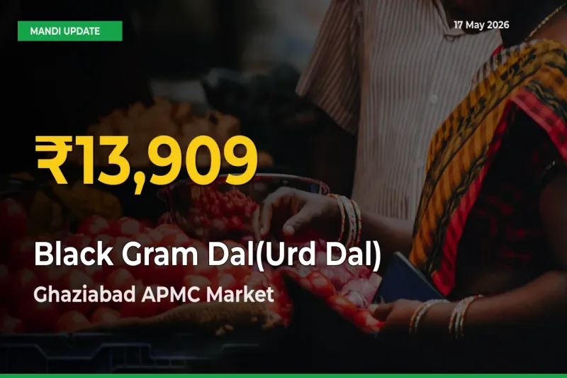 Black Gram Dal(Urd Dal) Hits Fresh High in Ghaziabad APMC Today