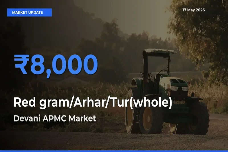 Red gram/Arhar/Tur(whole) Mandi Rate Today: Devani APMC Tops the List