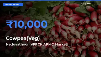 Farmers Prefer Neduvathoor  VFPCK APMC as Cowpea(Veg) Hits Highest Rate