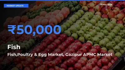 Fish,Poultry & Egg Market, Gazipur APMC Offers ₹50,000 – Highest Fish Rate Today