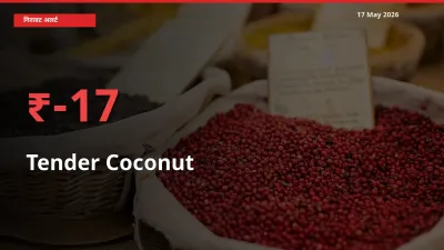 17.33% की गिरावट! मंडी में कच्चा नारियल के दाम अचानक टूटे