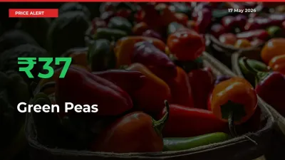 Sharp Jump! Green Peas Prices Climb 36.66% in 24 Hours at Key Mandis
