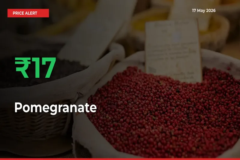 This Mandi Records 17.24% Jump in Pomegranate Prices