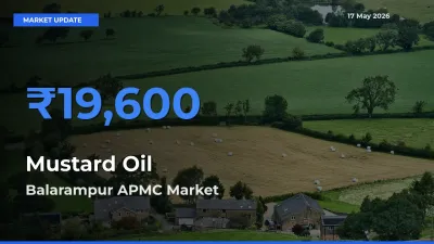 Market Watch: Balarampur APMC Becomes Top Mandi for Mustard Oil