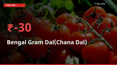 चना दाल 29.61% गिरा, मंडी