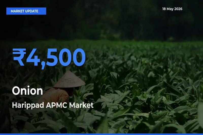 Harippad APMC Tops Onion Rates – May 18 Market Update