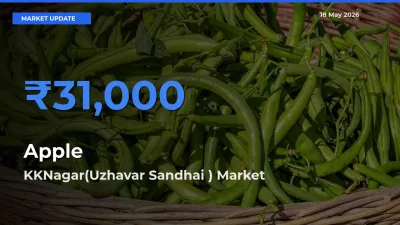 Market Watch: KKNagar(Uzhavar Sandhai ) Becomes Top Mandi for Apple