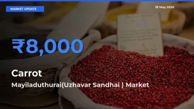 Mayiladuthurai(Uzhavar Sandhai ) Records Highest ₹8,000 Rate for Carrot