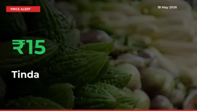 15.13% Spike in Tinda Prices – Mandi Sees Sudden Rally
